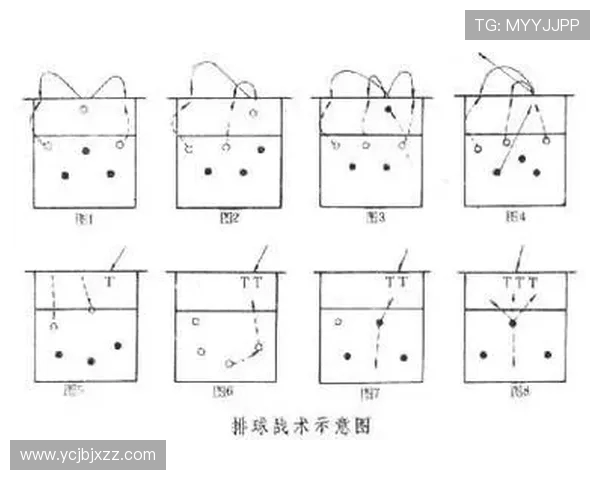 上海排球队中路突破策略分析与战术创新探讨 上海排球队中路突破策略分析与战术创新探讨