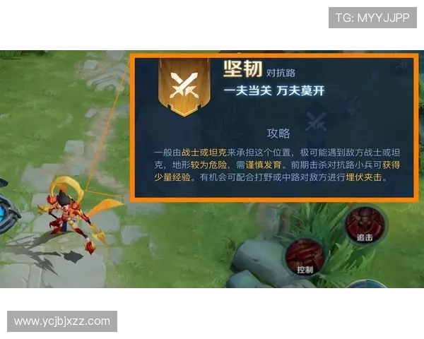 WE战队的节奏体系解析及其在CSGO战术中的应用与影响