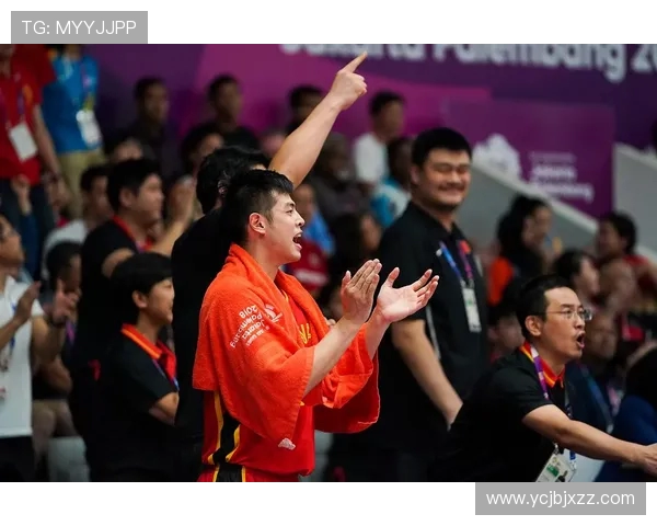 北京乒乓球队配合问题引发热议球迷对战术和默契的不同看法