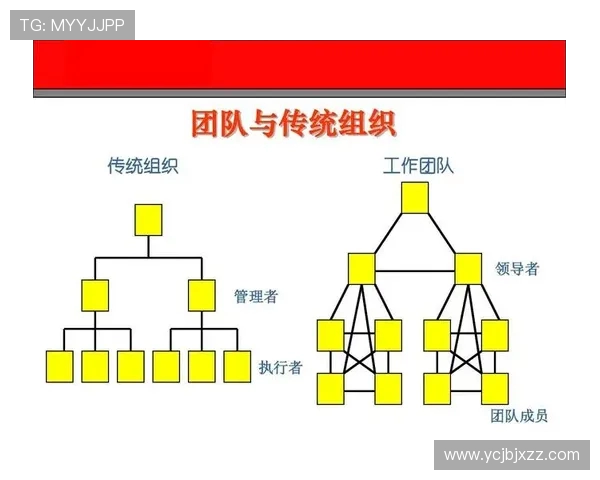 南京乒乓球队团队协作新模式引发热议与变革探讨