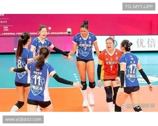 南京排球队的战术革新与球员转型深度解析
