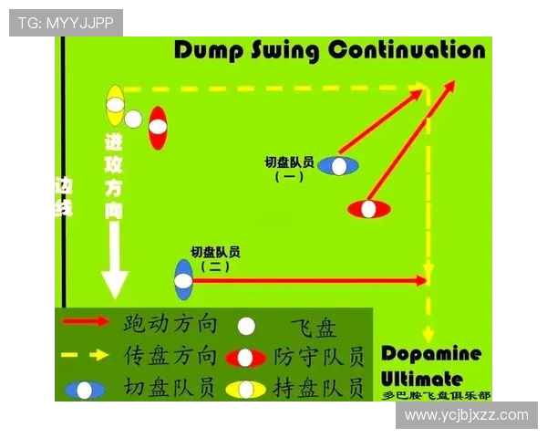 广州飞盘队阵地战解析：战术运用与团队协作的深度剖析