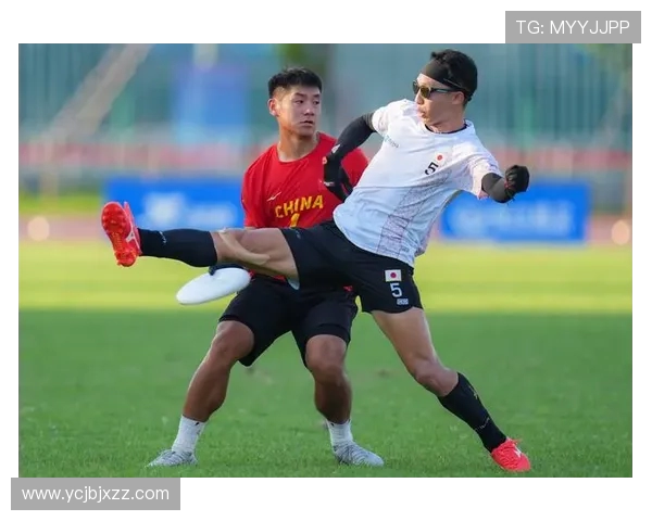 成都飞盘队配合策略深度解析与对比分析