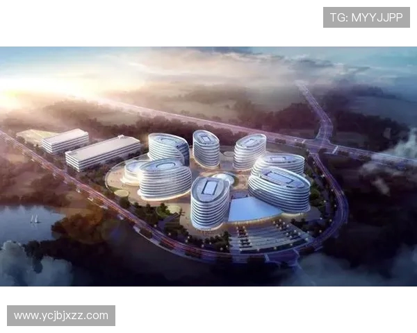 武汉足球队中路突破创新之路解析与未来展望