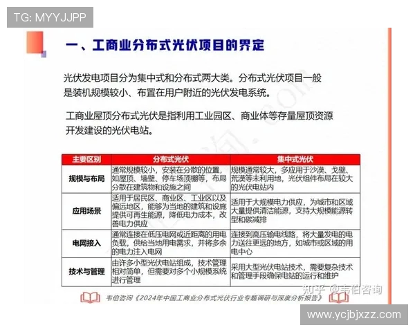 独家分析：IG速度对比与其他平台的深度探讨与影响评估