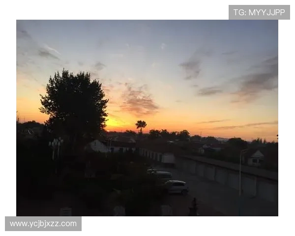 梦想与太阳即时比分的碰撞探索未来的无限可能与激情 梦想与太阳即时比分的碰撞探索未来的无限可能与激情